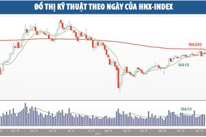 Chờ sự tiếp sức của dòng tiền đầu cơ