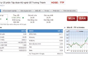 Sáp nhập công ty con, cổ đông lo TTF mất giá