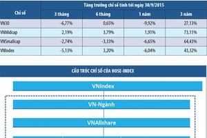 Bộ chỉ số ngành HOSE-Index theo chuẩn phân ngành GICS