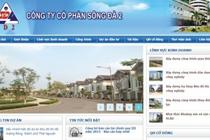 SD2 tập trung vào lĩnh vực xây lắp và bất động sản