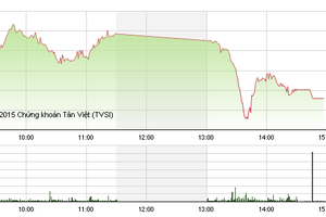 Phiên giao dịch chiều 30/11: Cổ phiếu tí hon đua nhau nằm sàn