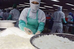 Nguy cơ tụt hậu của kinh tế Việt Nam vẫn hiện hữu