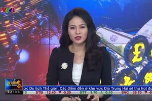 Bản tin tài chính kinh doanh trưa 11-01