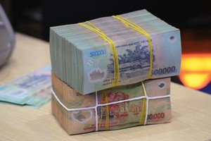 Năm 2015, VAMC đã duyệt mua hơn 111.000 tỷ đồng nợ gốc của TCTD