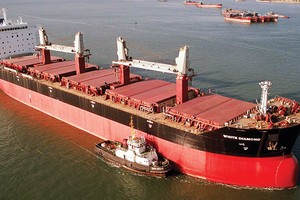 Khâu tốn thời gian và phức tạp nhất trong quy trình làm thủ tục hải quan là khâu thanh tra, kiểm tra