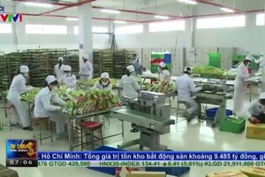Doanh nghiệp bánh kẹo Việt tìm chiến lược hội nhập