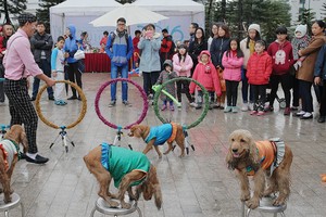 “Chợ chung cư” nơi lưng chừng giời