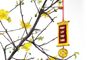 Sắc vàng xuống phố…