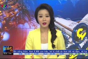 Bản tin tài chính kinh doanh trưa 29-1