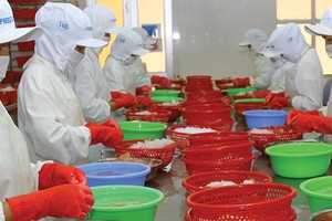 Hỗ trợ doanh nghiệp đẩy mạnh xuất khẩu để giảm nhập siêu