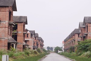 Theo các chuyên gia, mức xử phạt 200 – 300 triệu đồng với hành vi bàn giao nhà khi chưa xong hạ tầng, mặt ngoài là quá thấp . ảnh: Dũng Minh