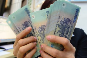 HSG vừa quyết định chi trả cổ tức 75% bằng cả tiền mặt và cổ phiếu