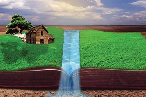 Ảnh: Ngọc Tuấn