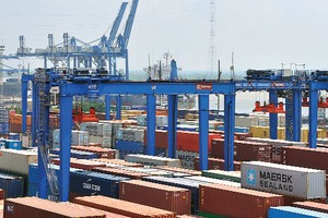 DVP đặt kế hoạch lãi 310 tỷ đồng