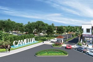 NLG sẽ phát hành 500 tỷ đồng trái phiếu chuyển đổi để đầu tư cho các dự án mới