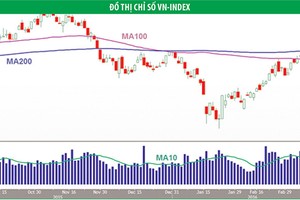 VN-Index có thể có nhịp điều chỉnh mạnh
