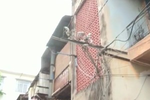 TP. HCM: Cuối 2016 phải thẩm định xong 89 chung cư cũ tại quận 1