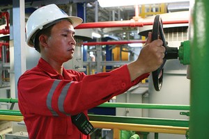 PPC có khoản vay lớn bằng Yên Nhật, còn NT2 có khoản vay lớn bằng USD và EUR 