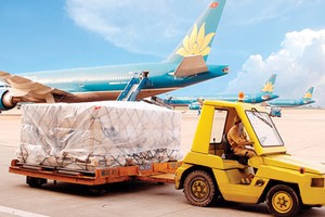 2016: thế độc quyền của NCT còn không?