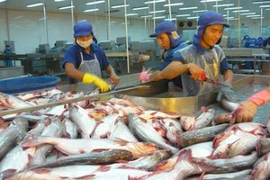 Mỹ giữ nguyên thuế chống bán phá giá cá tra Việt Nam