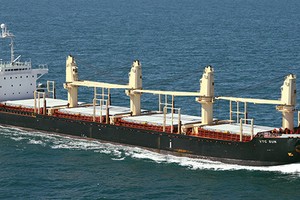 Rủi ro mà các doanh nghiệp vận tải biển gặp phải thường gây ra hậu quả rất lớn