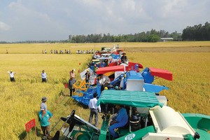 Sứ mệnh của Agribank là vì những vụ mùa bội thu