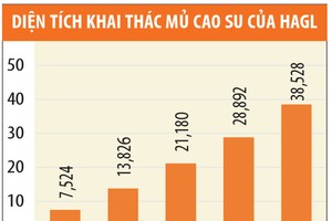 Giá dầu tăng, cao su trở lại “vàng trắng”?