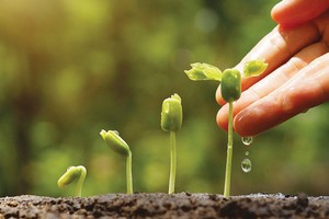 5 nhóm giải pháp để hiện thực hóa mục tiêu 1 triệu doanh nghiệp vào năm 2020