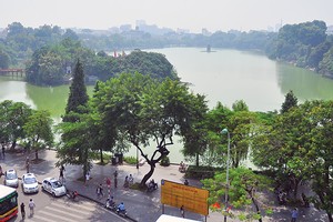 Bảo hiểm cây xanh đô thị là lĩnh vực mới ở Việt Nam, song hứa hẹn có nhiều tiềm năng phát triển