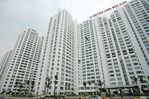 Dòng tiền phục vụ cho hoạt động kinh doanh của HAGL phụ thuộc rất lớn vào vốn vay