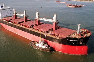 Cổ phiếu vận tải biển “trôi dạt” trên UPCoM