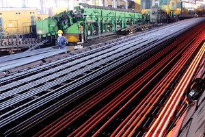 5 tháng đầu năm, TLH đạt 215 tỷ đồng lợi nhuận