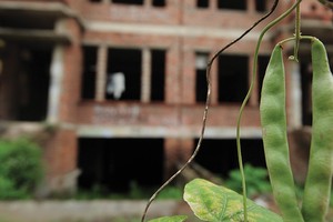 Nhà sáng lập quỹ bất động sản đang “toát mồ hôi”