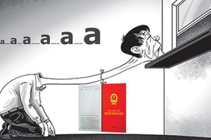 Ảnh Internet