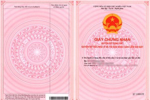 Ảnh chỉ mang tính minh họa (Nguồn: Internet)