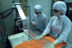 Việt Nam là một trong 17 nước có ngành công nghiệp dược đang phát triển. Ảnh: Đức Thanh