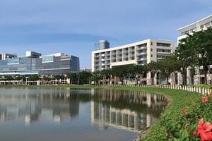 Sống xanh đang là xu hướng được ưa chuộng. Ảnh: Lê Toàn