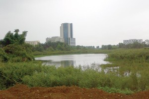 Phần còn lại của khu hồ Tân Xã trước đây được gia đình ông Nguyễn Đình Dũng thuê để thả cá. Ảnh: Quang Hưng