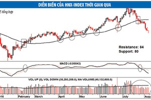 Tháng 8, VN-Index khó có thể rơi tự do
