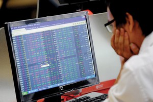 Nhà đầu tư cá nhân “sống được” cùng thị trường thường phải rất giỏi cả về chuyên môn, luật pháp, lẫn kinh nghiệm thương trường