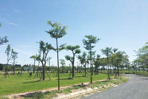 Khu đô thị Hà Phong hiện là khu đô thị có hạ tầng hoàn chỉnh nhất tại khu vực Mê Linh. Ảnh: Q.H