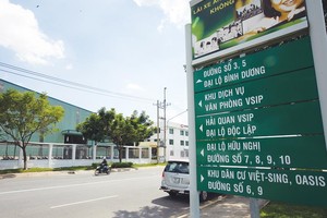 Tới thời điểm này, các khu công nghiệp của VSIP đã thu hút được hơn 600 nhà đầu tư thứ cấp, với tổng vốn FDI đăng ký lên tới 9 tỷ USD. Ảnh: Đức Thanh