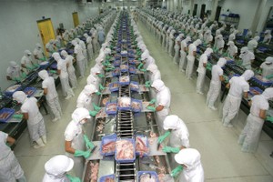 Với thị phần vận tải 5% tại Việt Nam, việc Hanjin phá sản ít ảnh hưởng đến các DN xuất khẩu