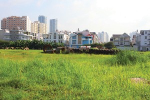 Khung giá đất do UBND các tỉnh, thành phố ban hành đang có khoảng cách rất lớn so với giá thị trường. Ảnh: Lê Toàn