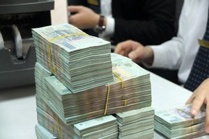 Thứ trưởng Bộ Kế hoạch và Đầu tư: Quy hoạch để tránh xung đột lợi ích 