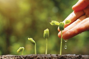 Phát triển bền vững luôn là mục tiêu hàng đầu mà các doanh nghiệp cần hướng tới