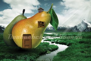 Chuyện của những cây cầu