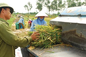 Việc cần làm là giải quyết thách thức  về năng lực cạnh tranh và phát triển bền vững nông nghiệp Việt Nam