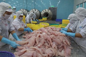 HVG dự kiến đạt hơn 500 tỷ đồng lợi nhuận trong năm 2016