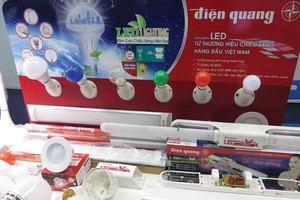 Các sản phẩm đèn LED của Điện Quang ở một hội chợ tại TP.HCM